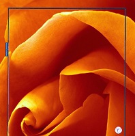 ������� �����������